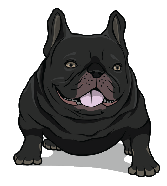 Cartoon Pet Design